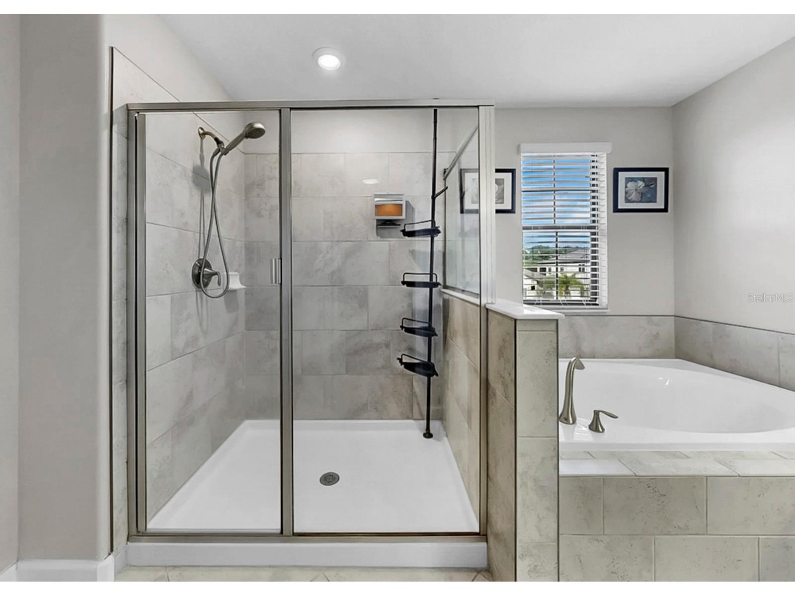 13256 Wildflower Meadow Drive Riverview FL 33579 TB8493244 image39