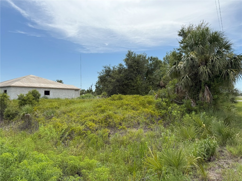 13257 Blake Drive Port Charlotte FL 33981 D6143035 image4