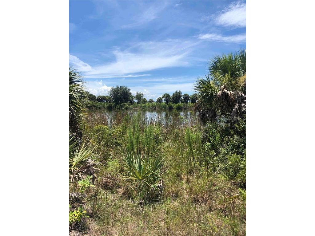 13257 Longville Avenue Port Charlotte FL 33981 D6133610 image3