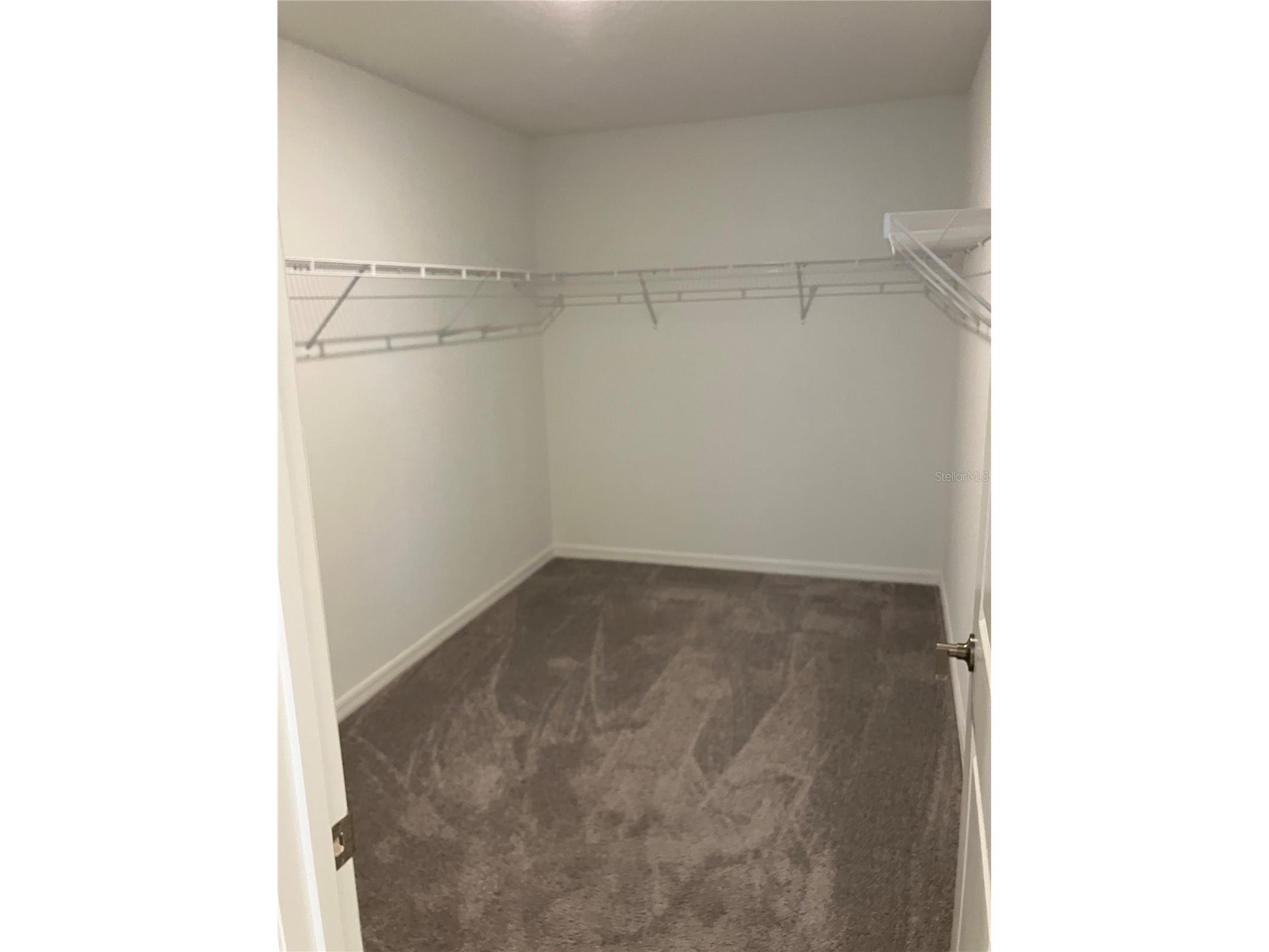 13259 Palmerston Road Riverview FL 33579 TB8496671 image30