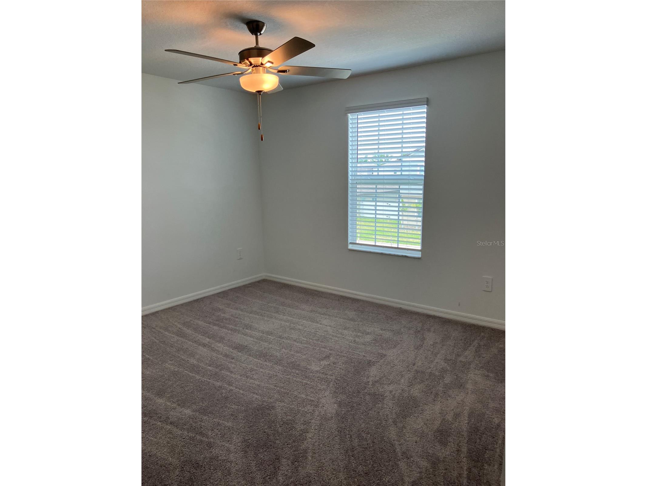 13259 Palmerston Road Riverview FL 33579 TB8496671 image43