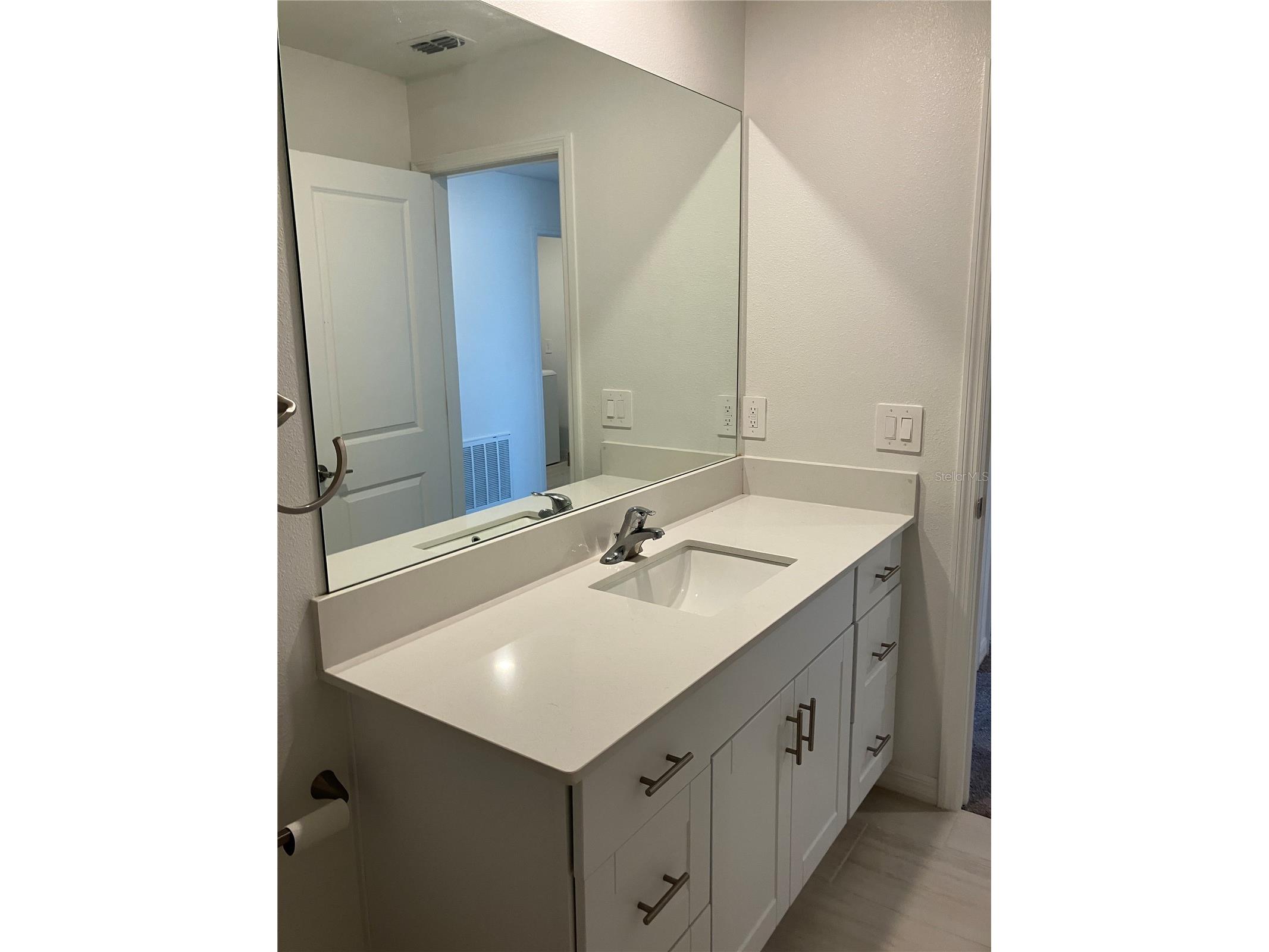 13259 Palmerston Road Riverview FL 33579 TB8496671 image48