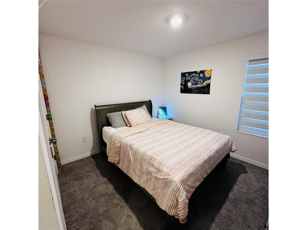 1342 Blazing Star Lane Davenport FL 33837 S5141046 image23