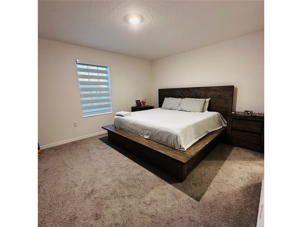 1342 Blazing Star Lane Davenport FL 33837 S5141046 image25