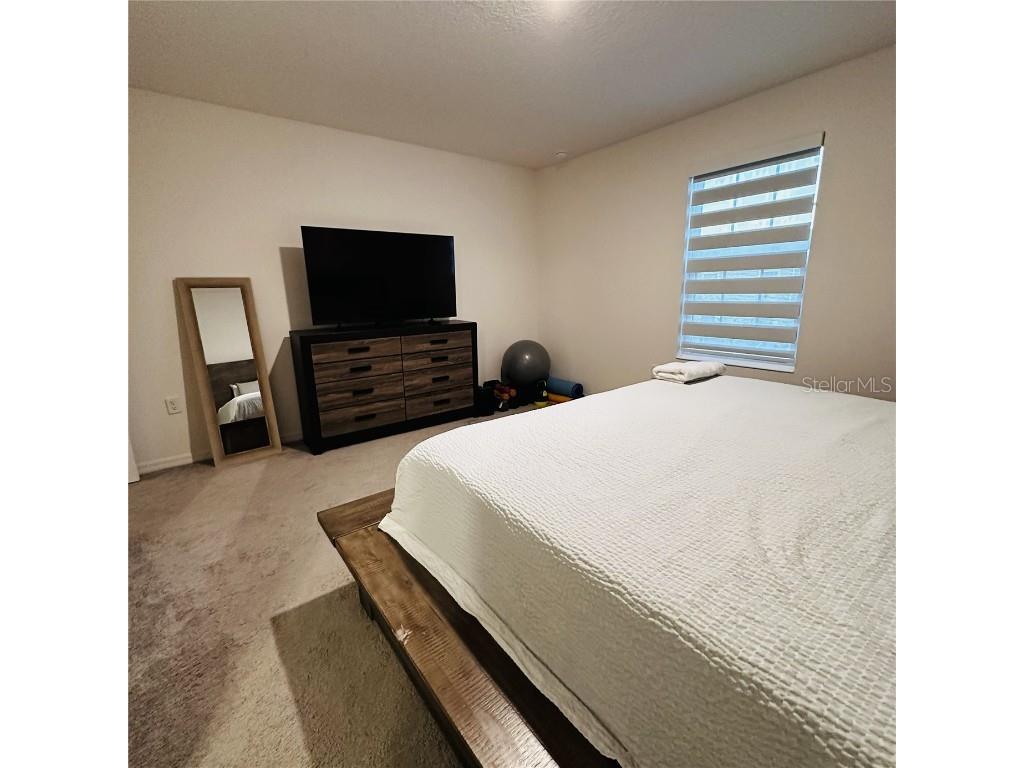 1342 Blazing Star Lane Davenport FL 33837 S5141046 image26