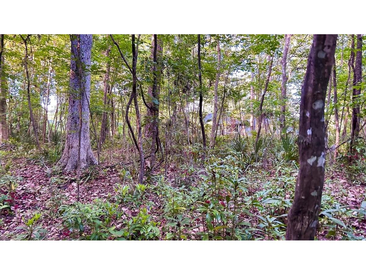 1326 NW 57th Street Gainesville FL 32605 GC531054 image66