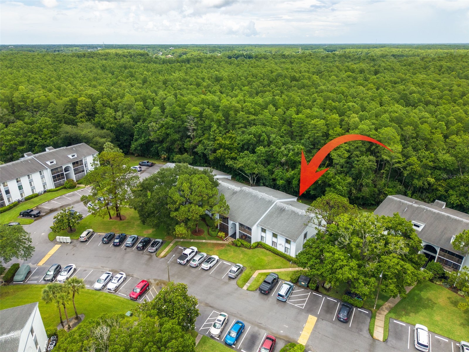 1326 Pine Ridge Circle E #G2 Tarpon Springs FL 34688 TB8511197 image2
