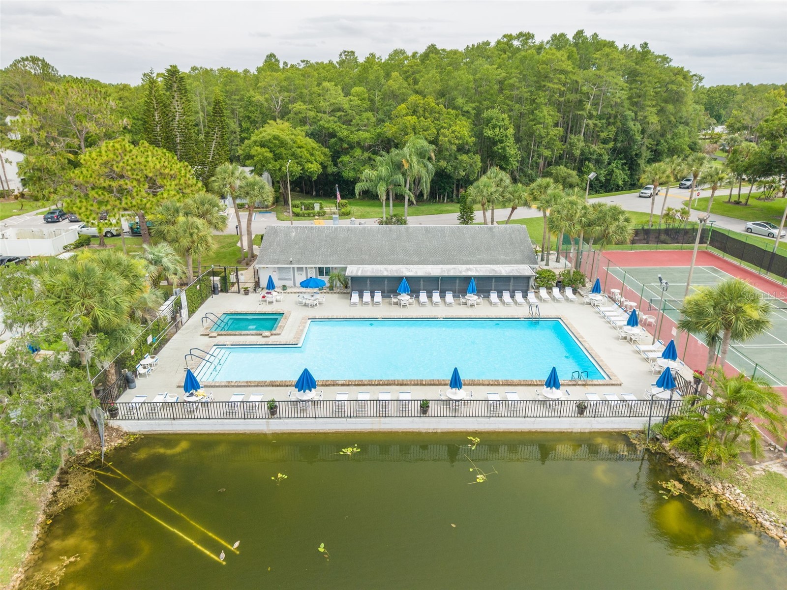 1326 Pine Ridge Circle E #G2 Tarpon Springs FL 34688 TB8511197 image34