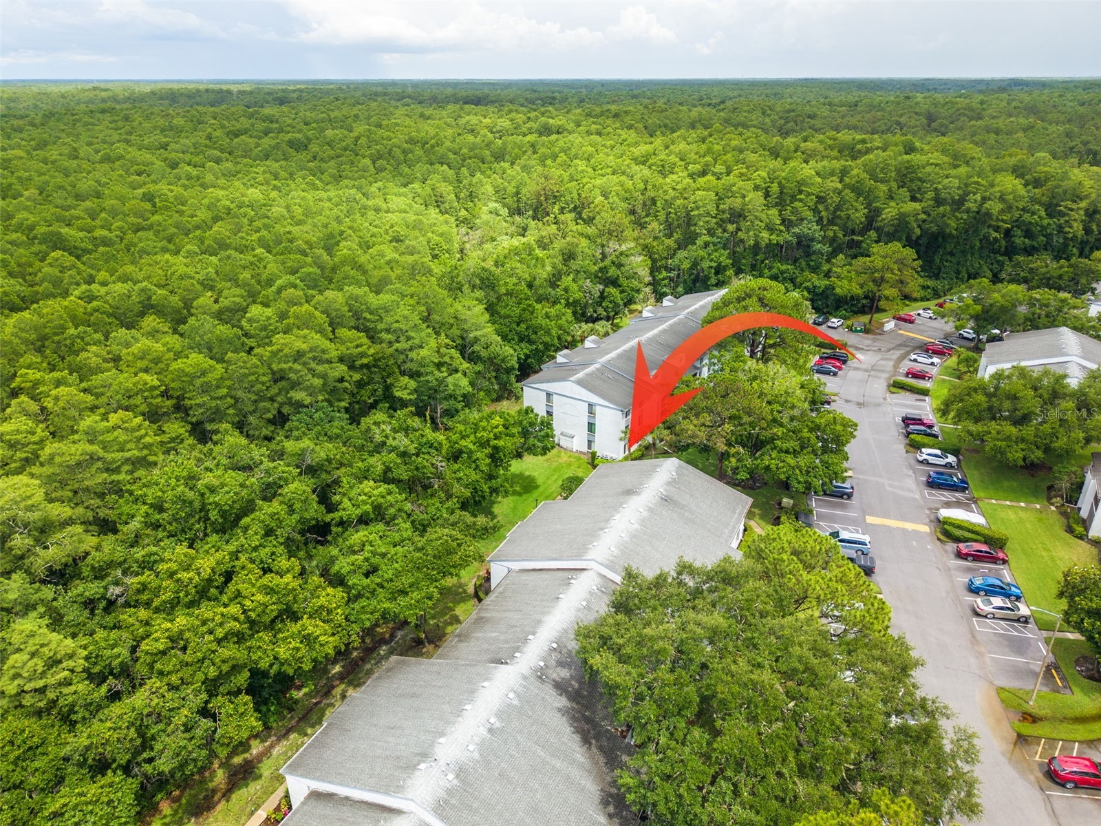 1326 Pine Ridge Circle E #G2 Tarpon Springs FL 34688 TB8511197 image35