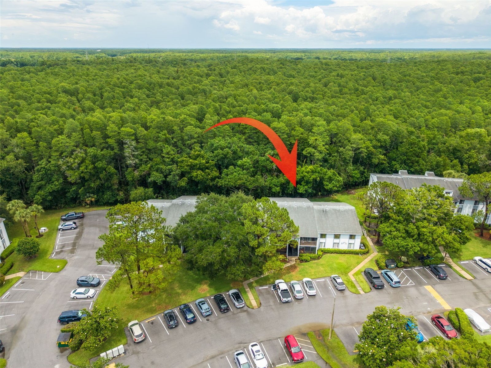 1326 Pine Ridge Circle E #G2 Tarpon Springs FL 34688 TB8511197 image36