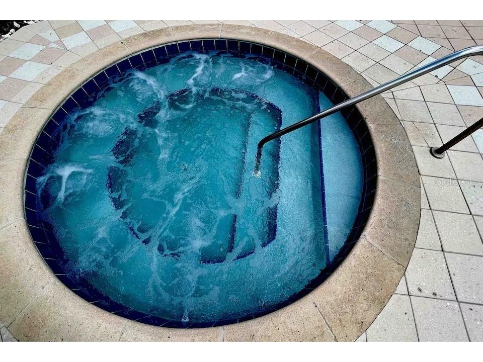 1326 Seven Eagles Court #1326 Kissimmee FL 34747 S5150080 image27