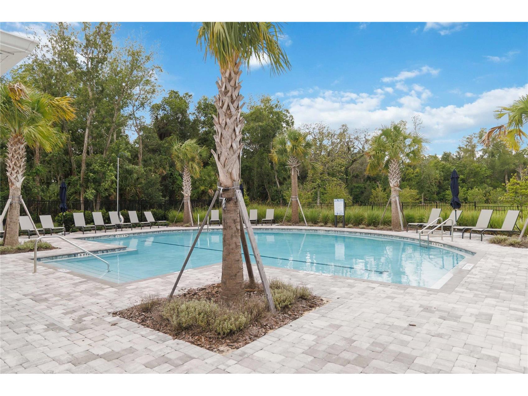 1326 Tarflower Drive Winter Springs FL 32708 O6416617 image28