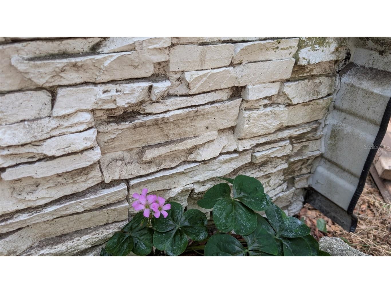 13260 SW 97th Place Dunnellon FL 34432 OM715376 image20