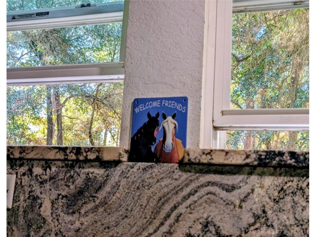 13260 SW 97th Place Dunnellon FL 34432 OM715376 image57