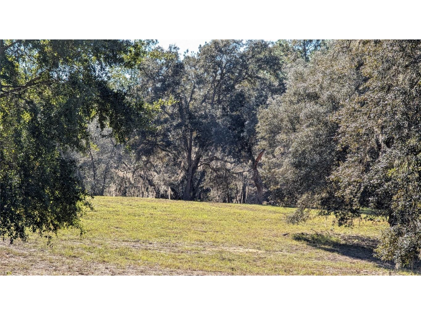 13260 SW 97th Place Dunnellon FL 34432 OM715376 image58