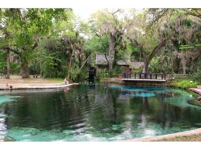 13261 NE 155th Lane Fort Mc Coy FL 32134 OM723198 image44