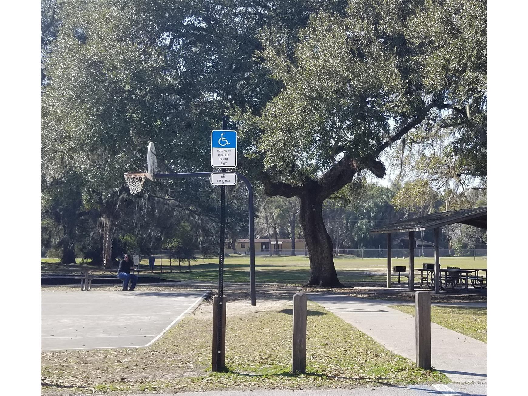 13261 NE 155th Lane Fort Mc Coy FL 32134 OM723198 image63
