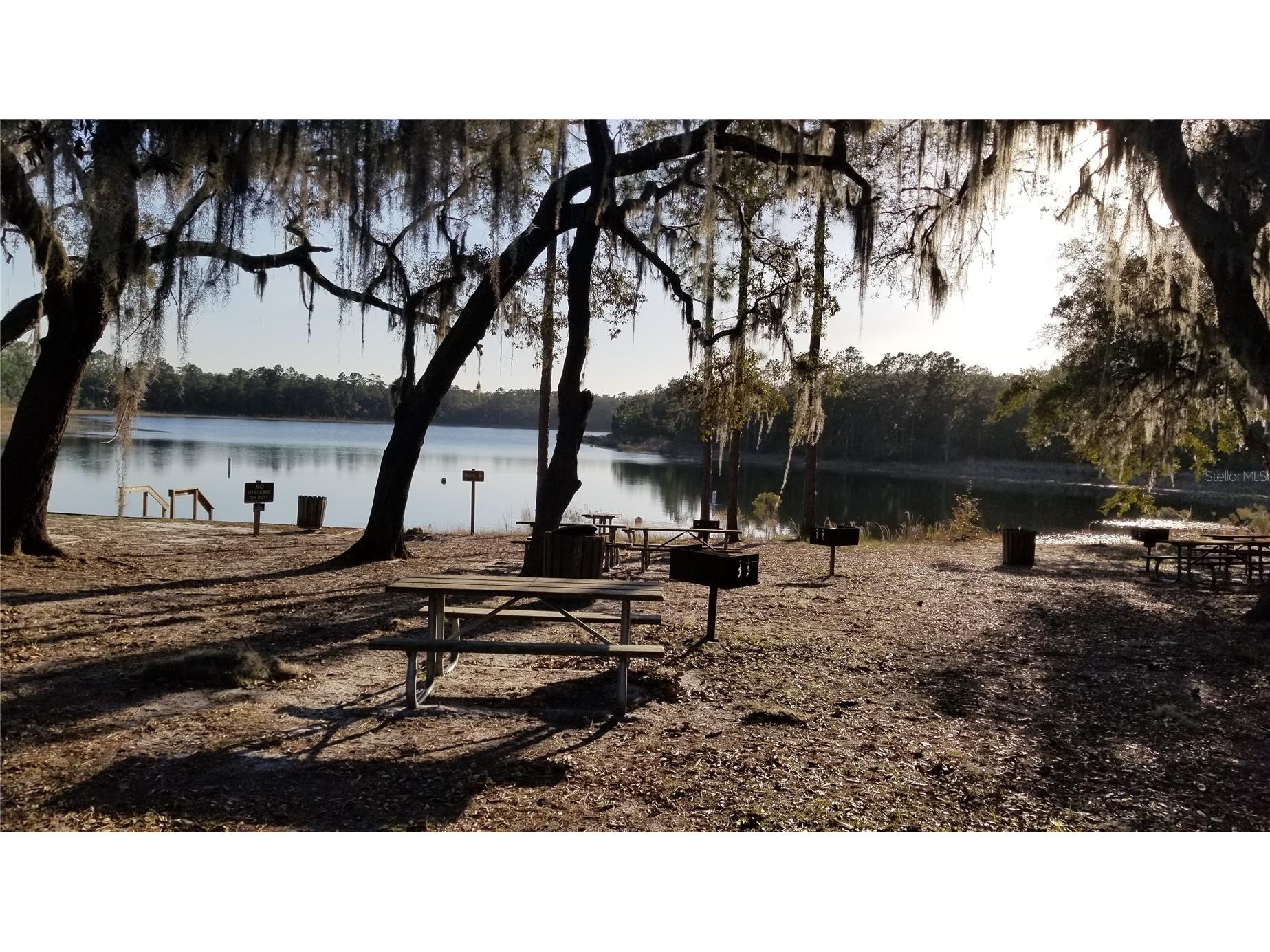 13261 NE 155th Lane Fort Mc Coy FL 32134 OM723198 image72