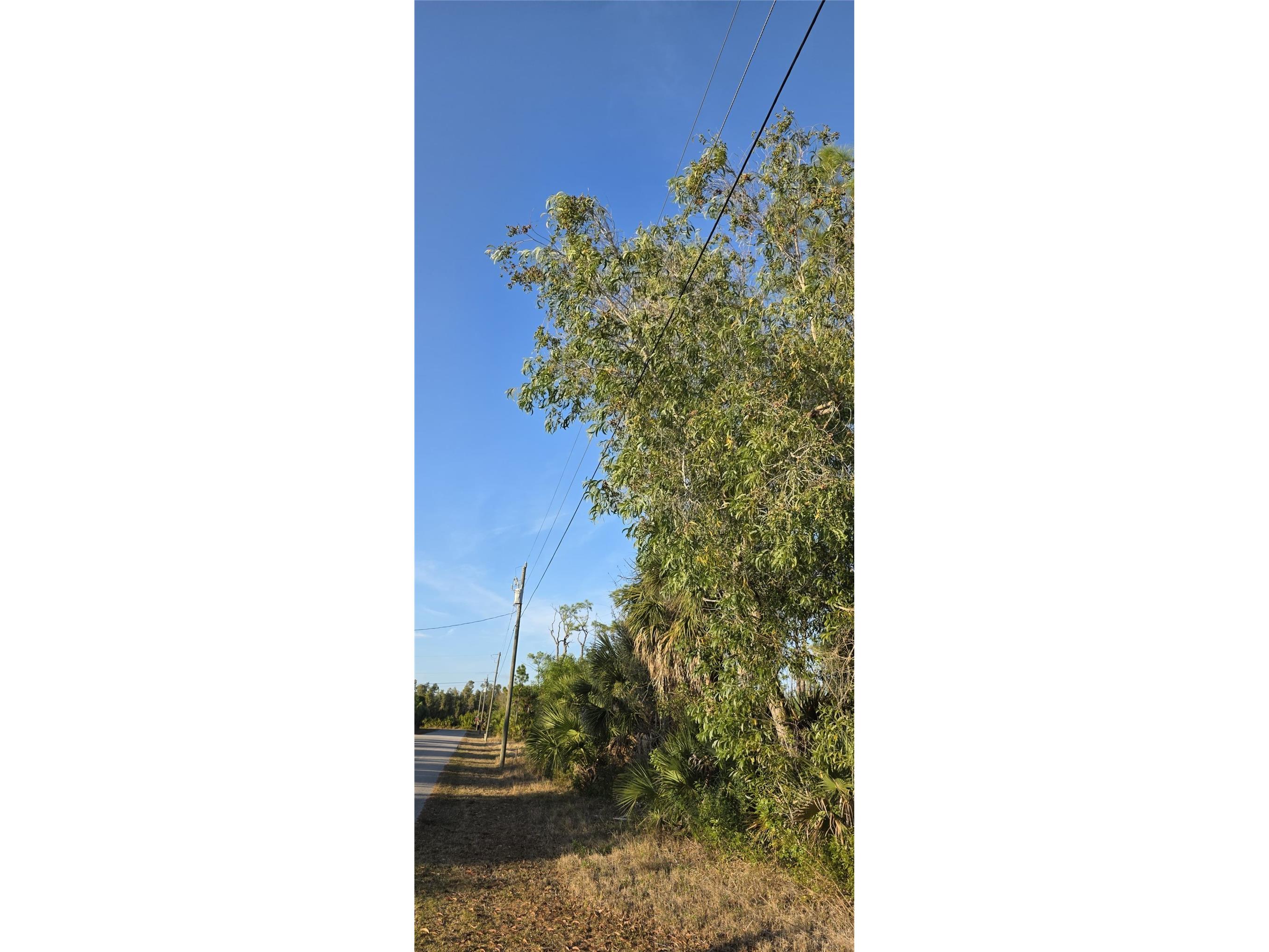 13262 Gorman Avenue Port Charlotte FL 33981 C7522264 image2