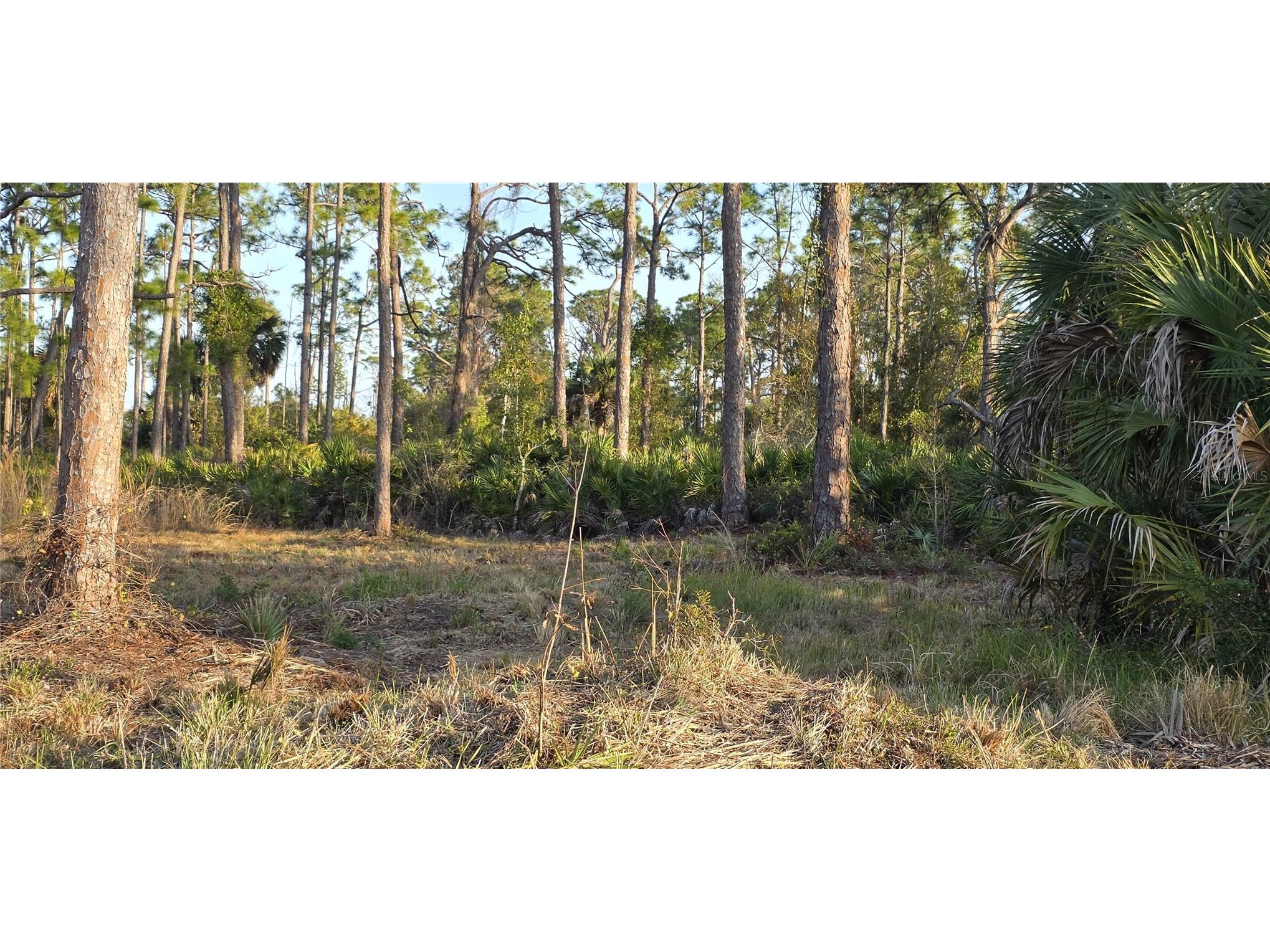 13262 Gorman Avenue Port Charlotte FL 33981 C7522264 image3