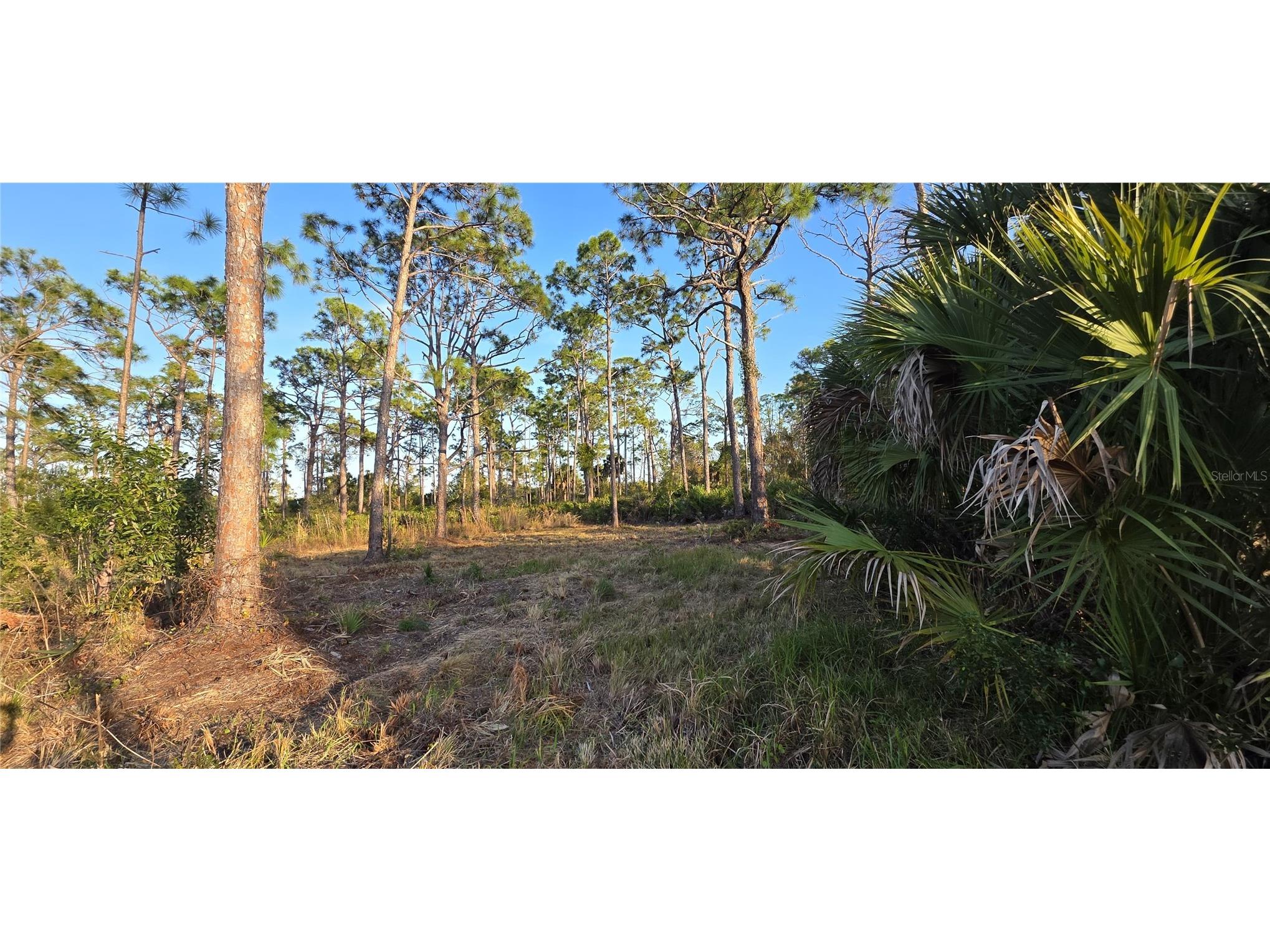 13262 Gorman Avenue Port Charlotte FL 33981 C7522264 image6