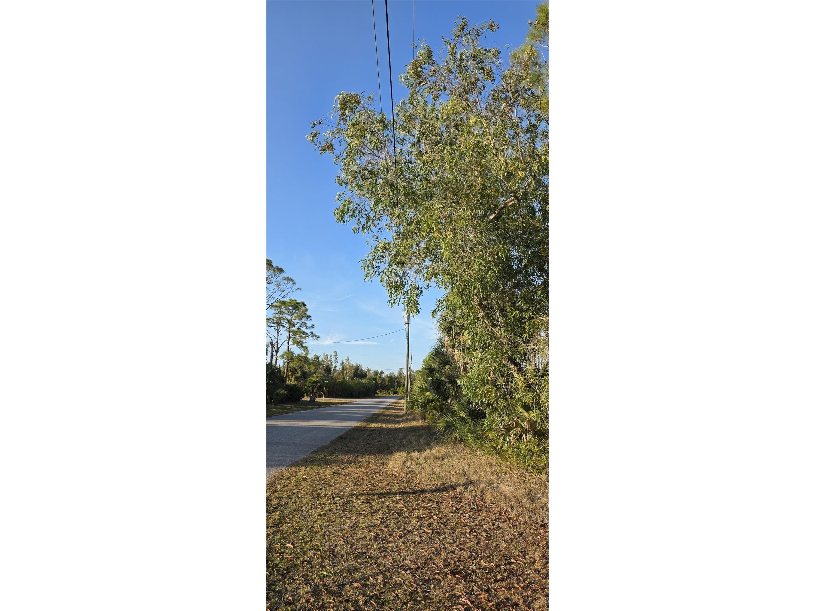 13262 Gorman Avenue Port Charlotte FL 33981 C7522264 image7