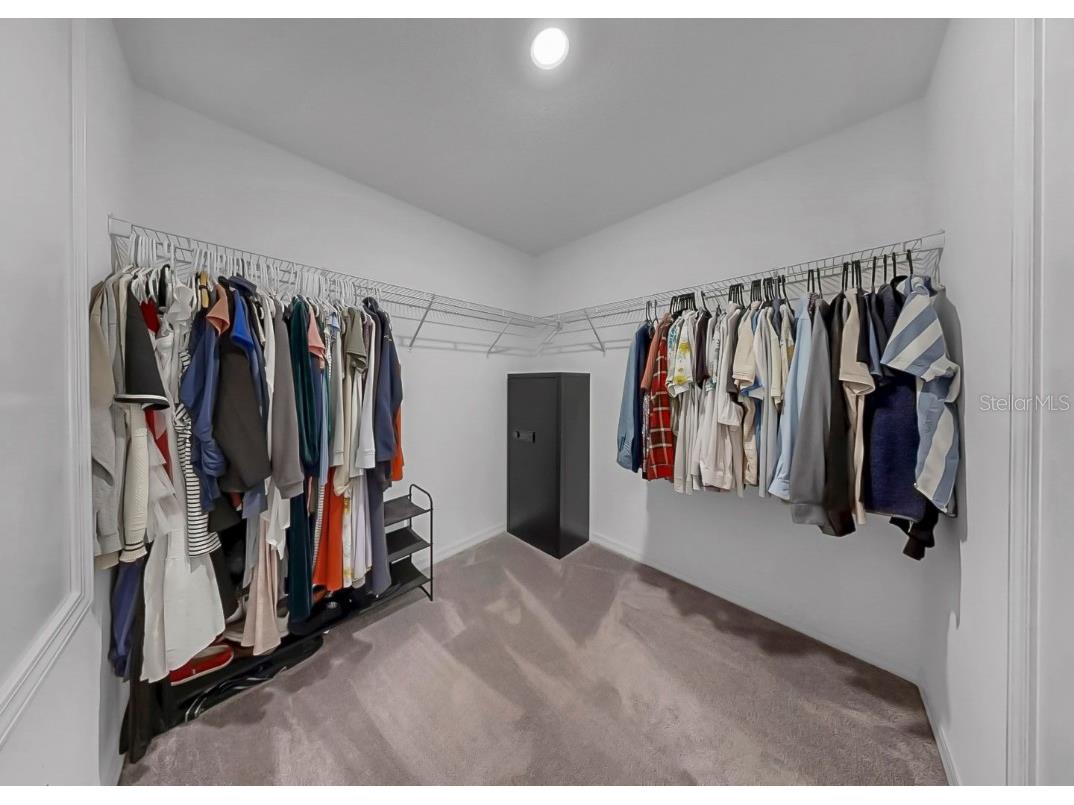 13262 Jeter Creek Drive Riverview FL 33579 TB8458069 image14