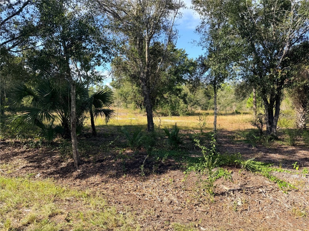 13263 Banyan Drive Punta Gorda FL 33955 C7517108 image5