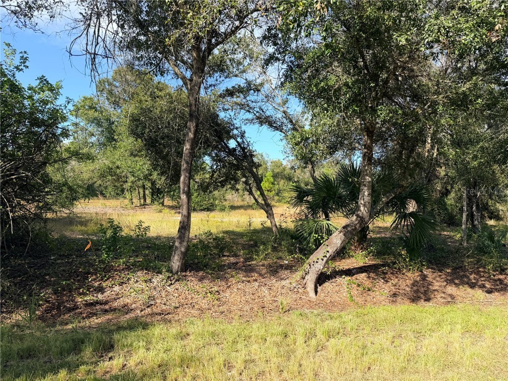 13263 Banyan Drive Punta Gorda FL 33955 C7517108 image6