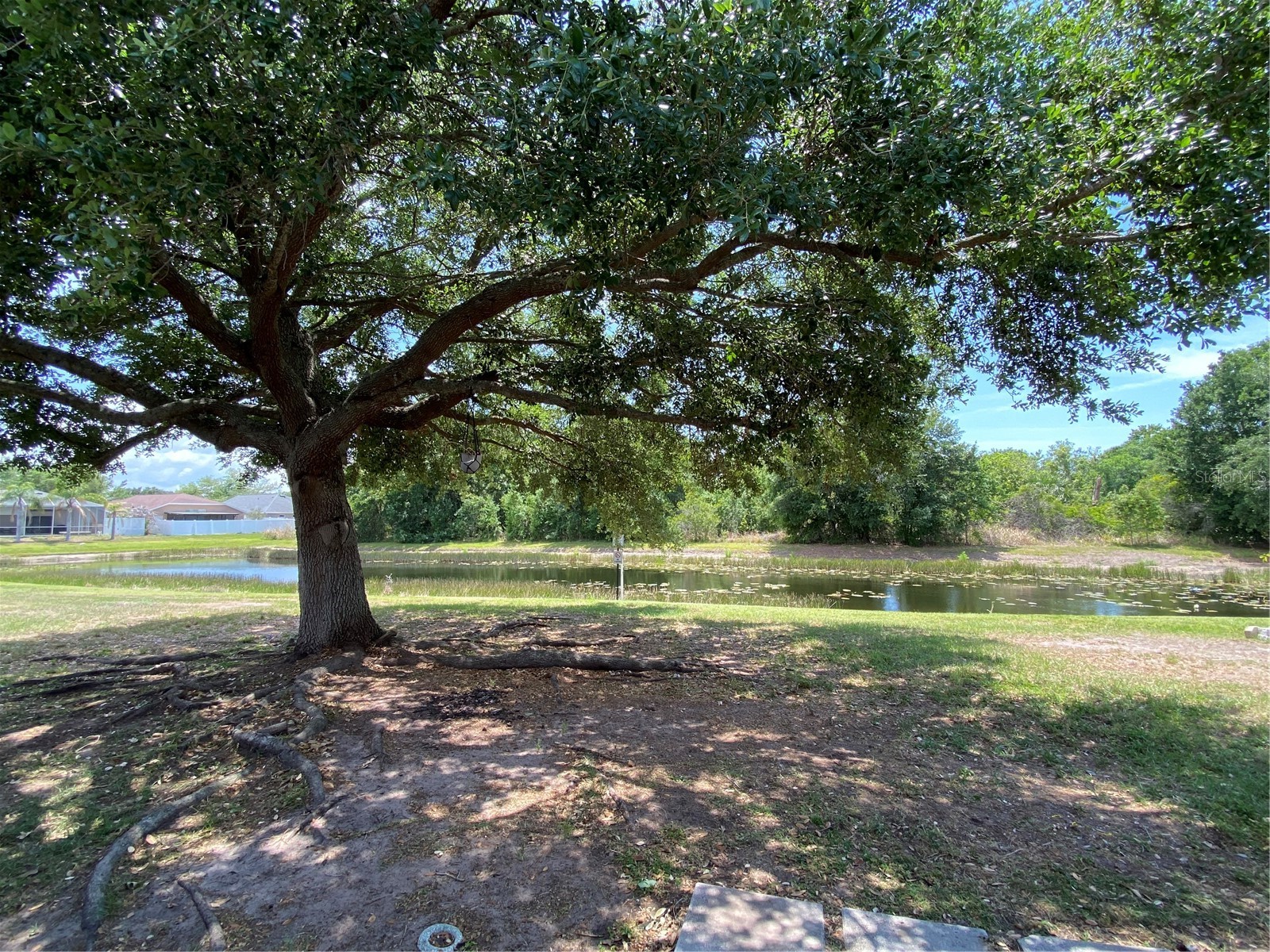 13263 Evening Sunset Lane Riverview FL 33579 TB8508571 image2