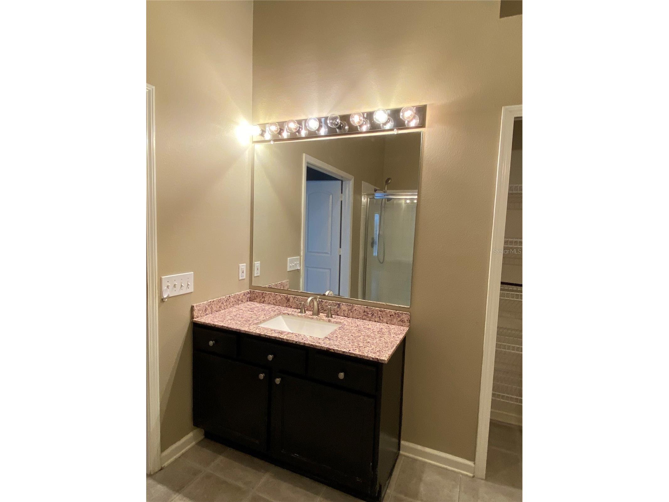 13263 Evening Sunset Lane Riverview FL 33579 TB8508571 image7