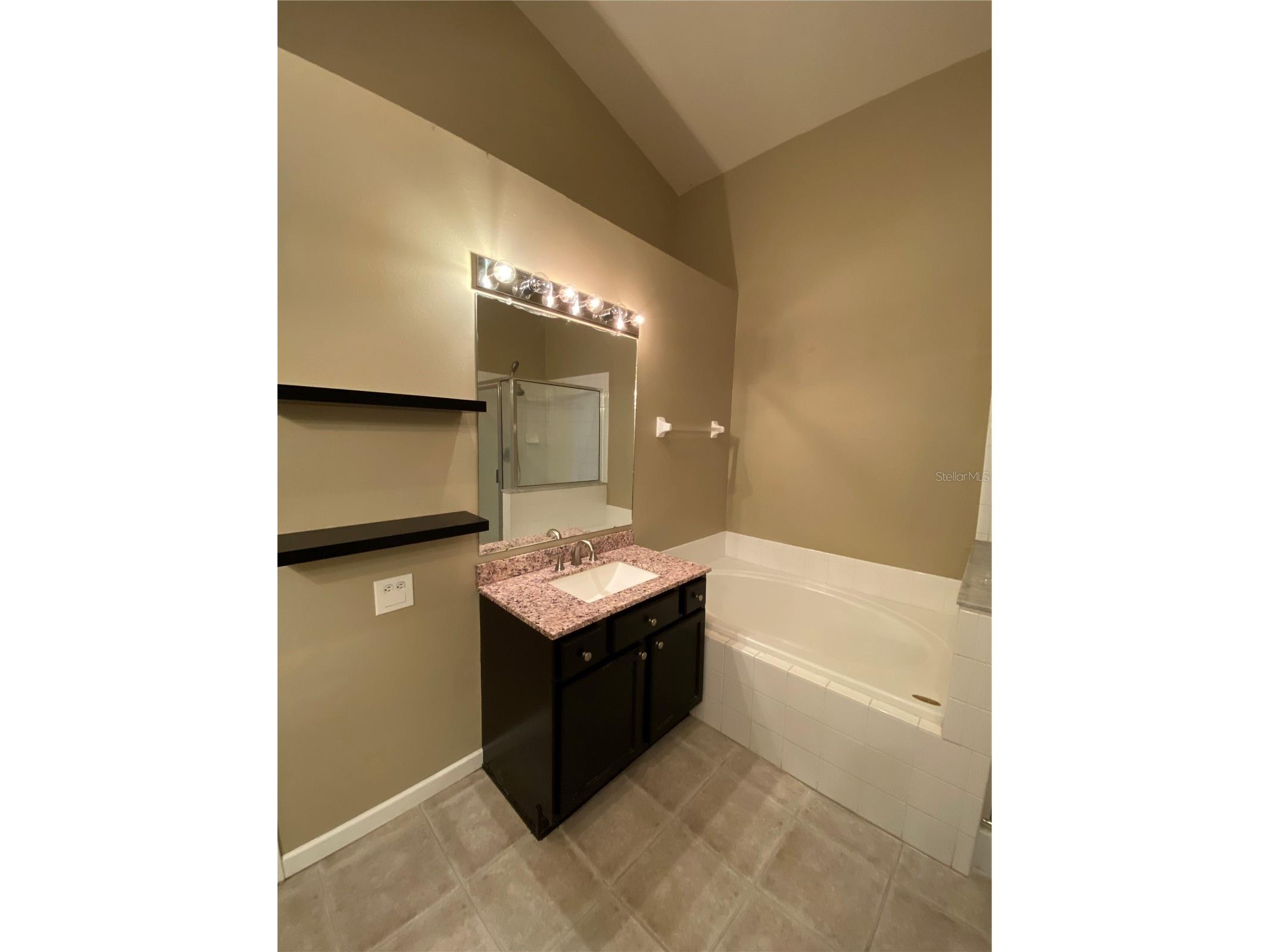 13263 Evening Sunset Lane Riverview FL 33579 TB8508571 image8