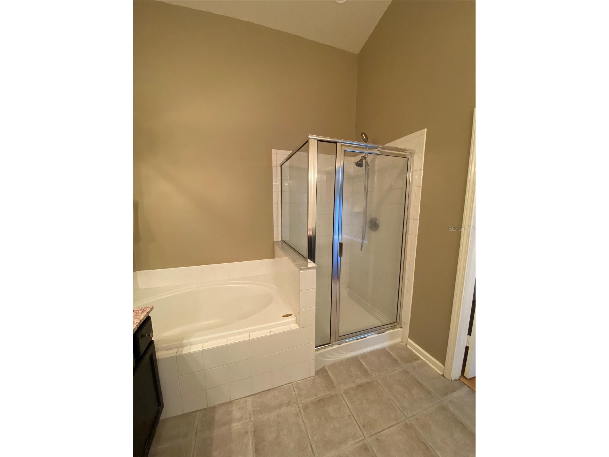 13263 Evening Sunset Lane Riverview FL 33579 TB8508571 image9