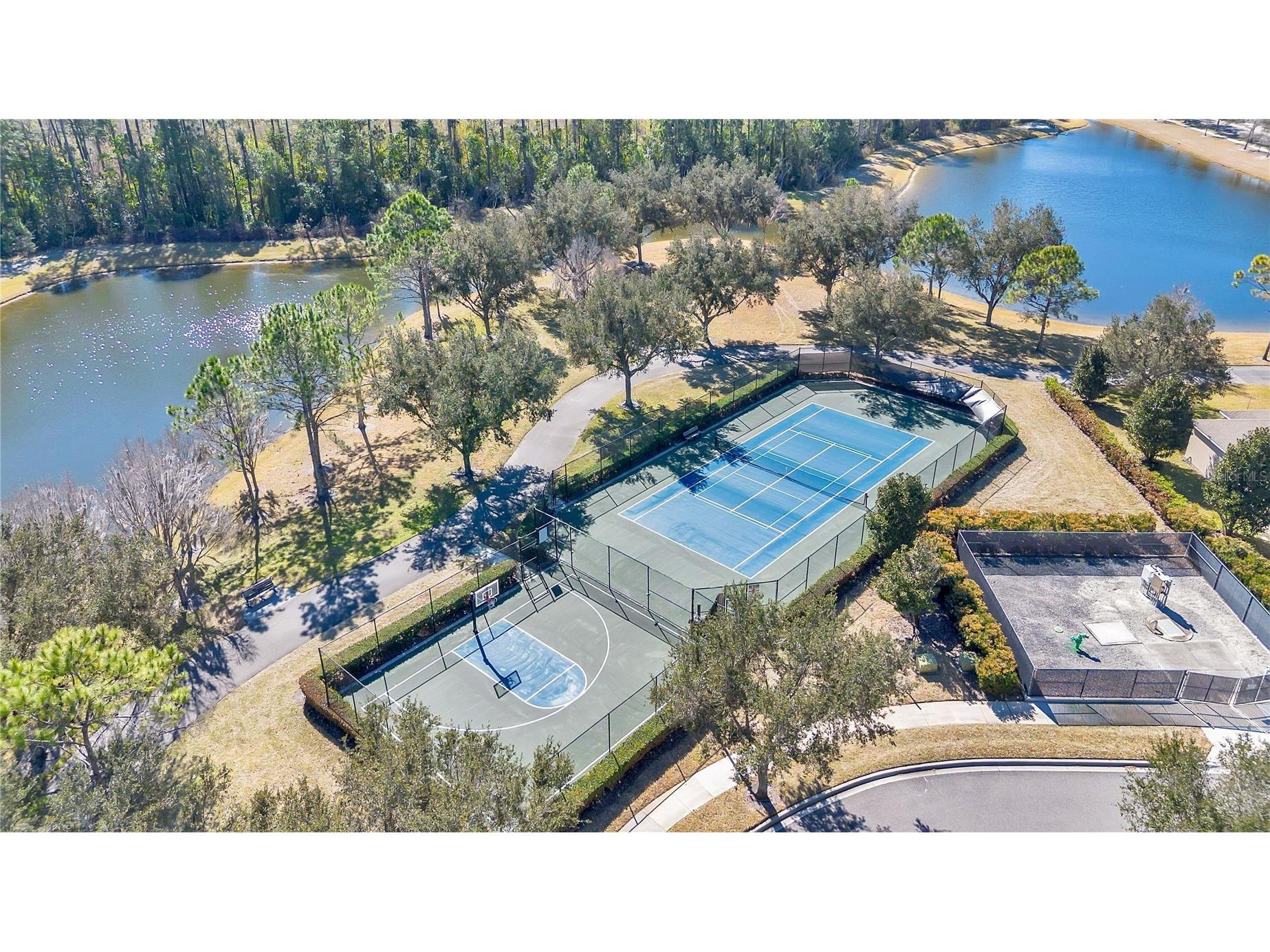13263 Strode Lane Windermere FL 34786 O6383141 image50
