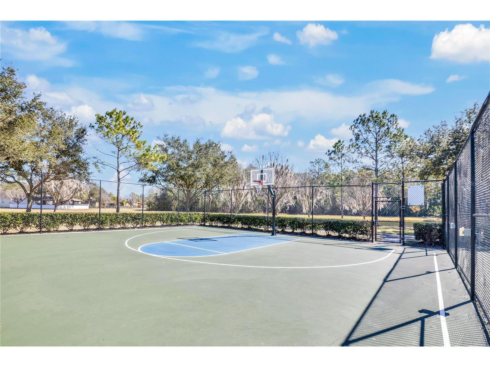 13263 Strode Lane Windermere FL 34786 O6383141 image53