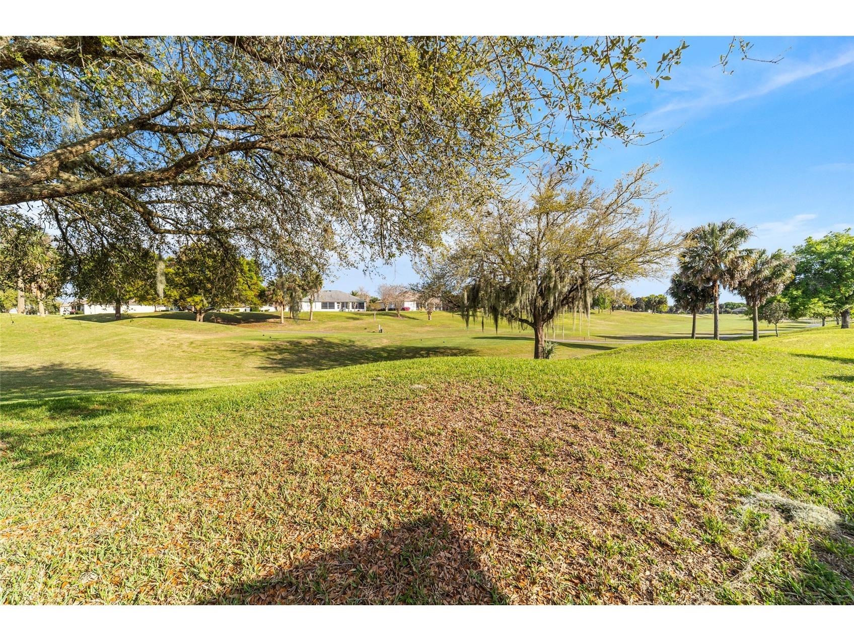 13265 SE 91st Court Road Summerfield FL 34491 OM720749 image23