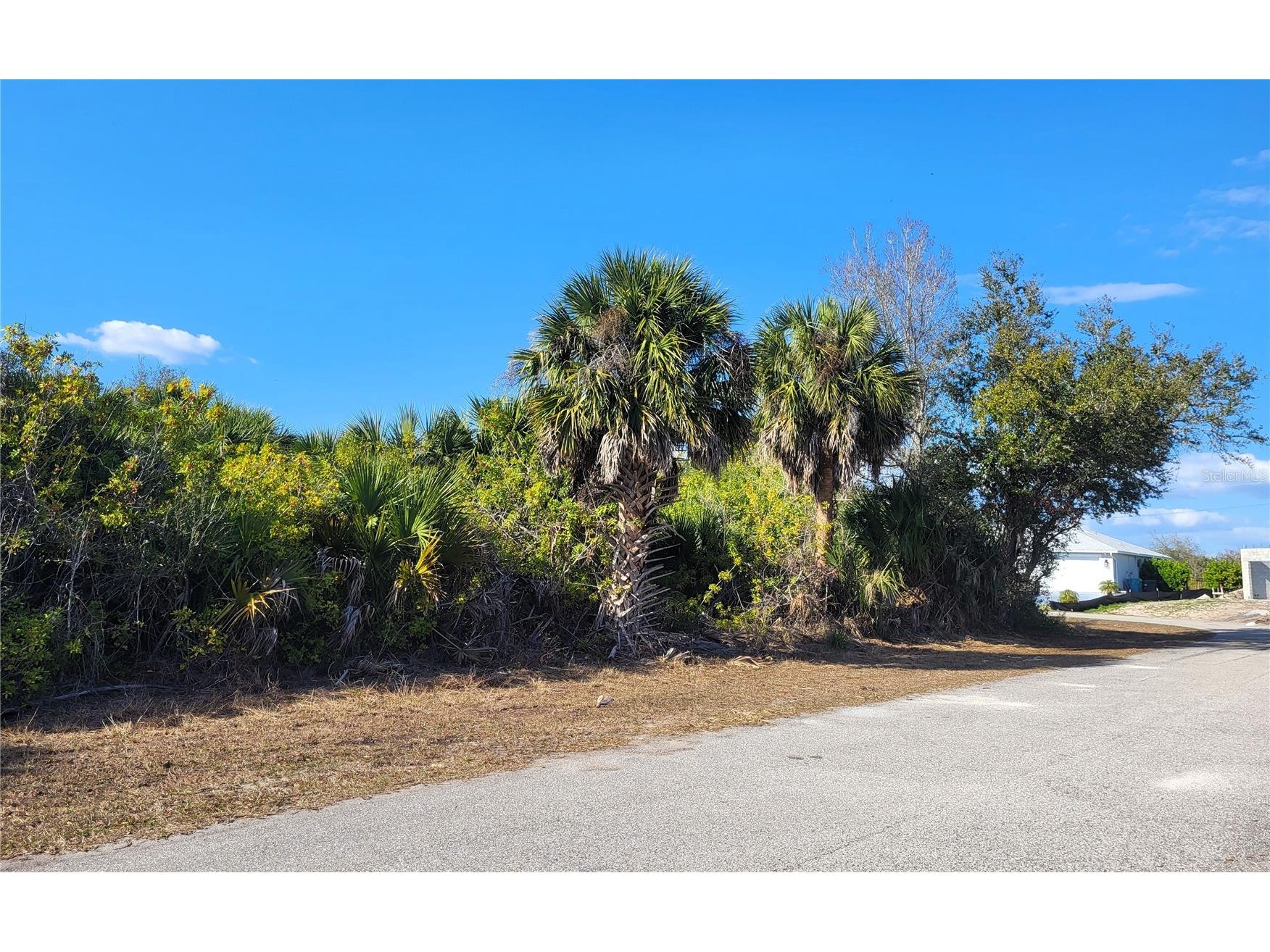 13267 Pace Circle Port Charlotte FL 33981 D6146428 image6