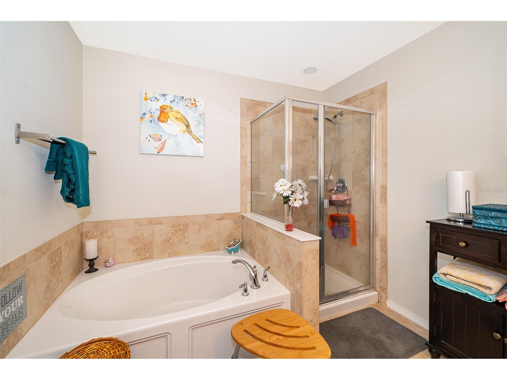1327 Alston Bay Boulevard Apopka FL 32703 O6393310 image20