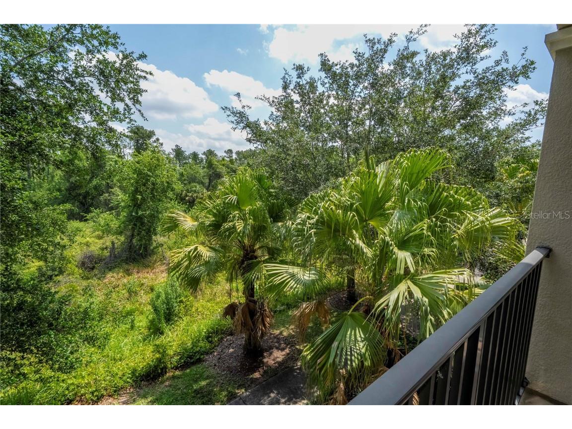 1327 Shinnecock Hills Drive Davenport FL 33896 O6314608 image25