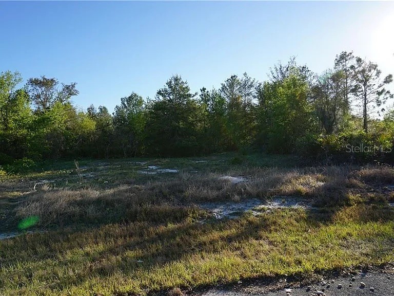 1327 St Augustine Court Kissimmee FL 34759 A4670305 image2