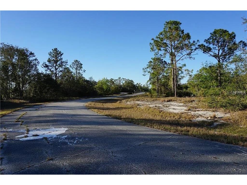 1327 St Augustine Court Kissimmee FL 34759 A4670305 image3