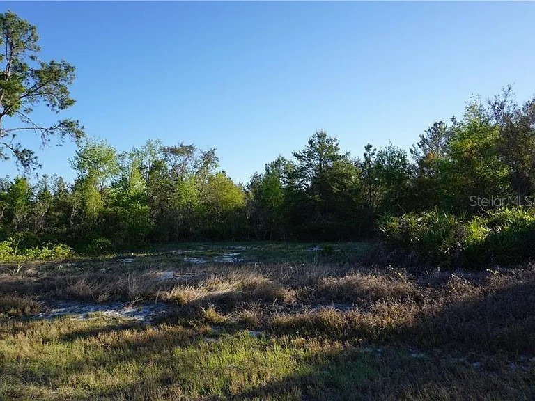 1327 St Augustine Court Kissimmee FL 34759 A4670305 image4