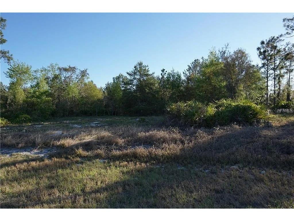 1327 St Augustine Court Kissimmee FL 34759 A4670305 image5