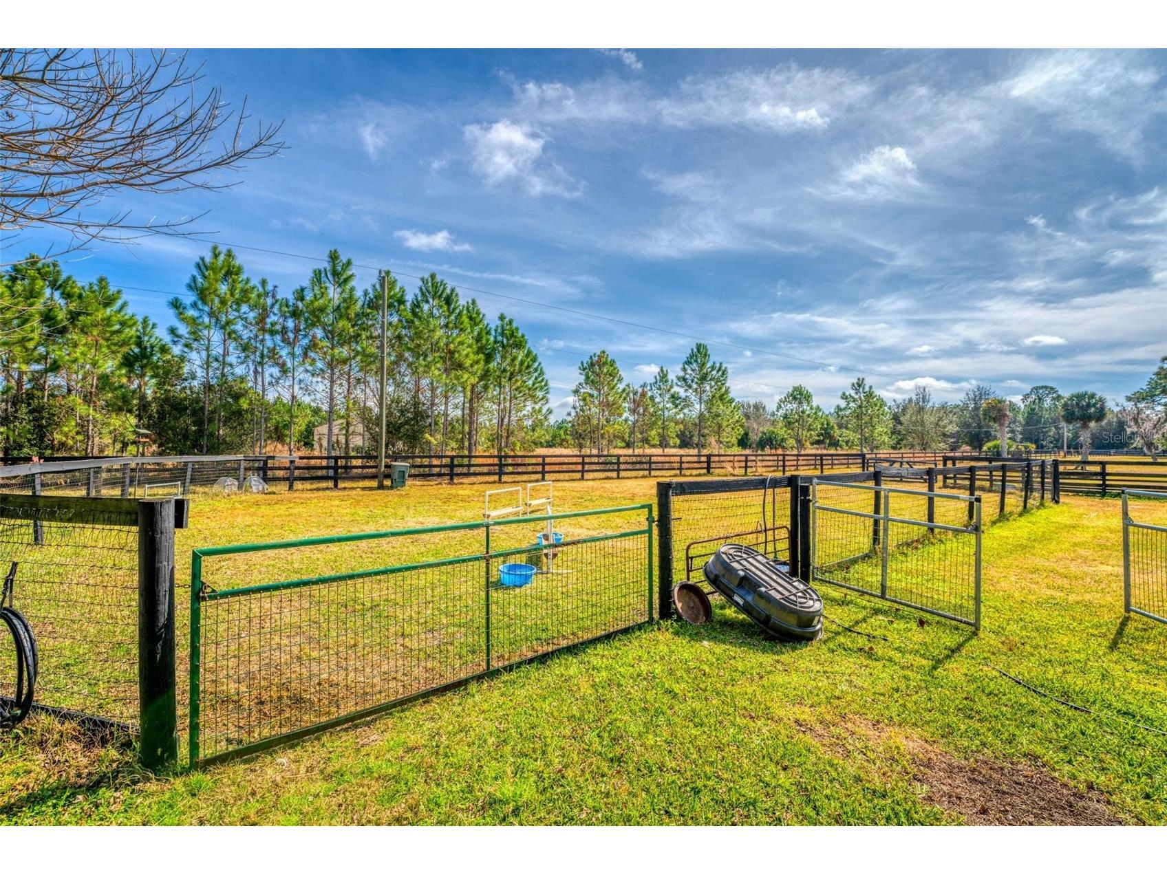 1327 W State Road 40 Pierson FL 32180 V4938478 image39