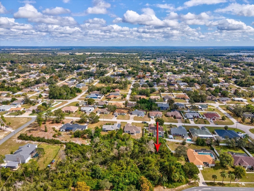 13273 Jessica Drive Spring Hill FL 34609 W7879994 image11