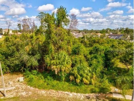 13273 Jessica Drive Spring Hill FL 34609 W7879994 image12
