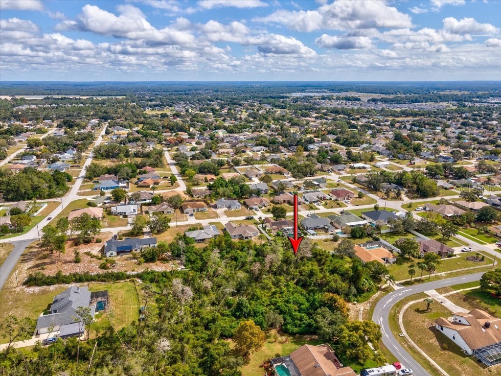 13273 Jessica Drive Spring Hill FL 34609 W7879994 image4