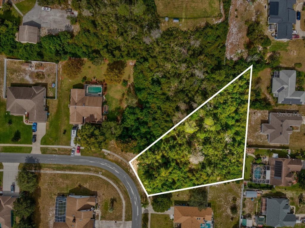 13273 Jessica Drive Spring Hill FL 34609 W7879994 image5
