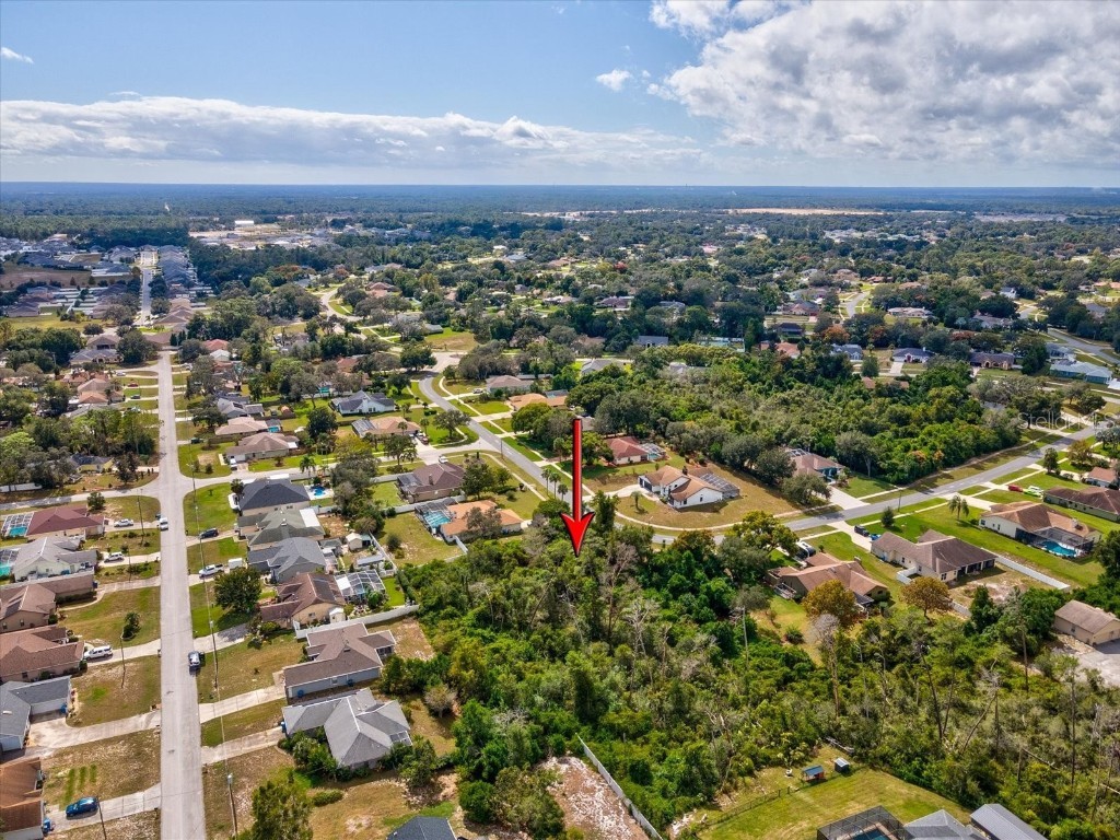 13273 Jessica Drive Spring Hill FL 34609 W7879994 image9
