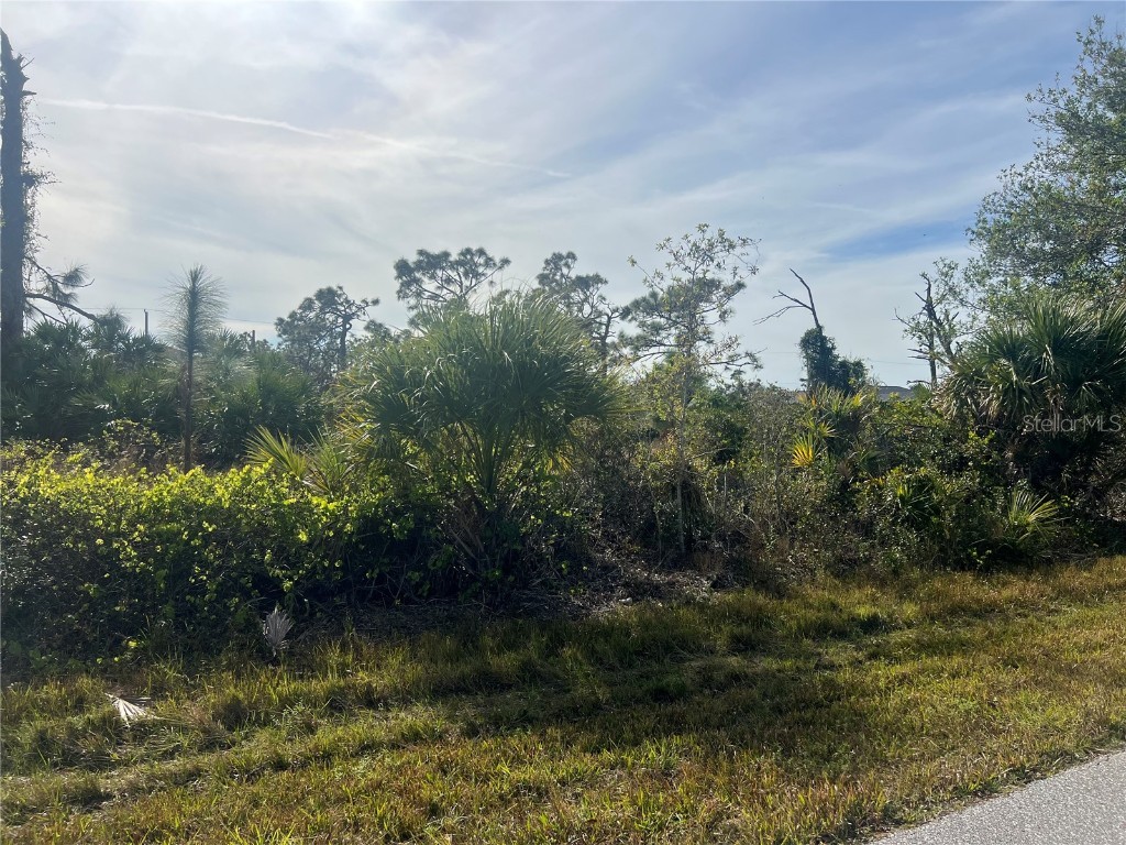 13273 Rouding Circle Port Charlotte FL 33981 C7501862 image2